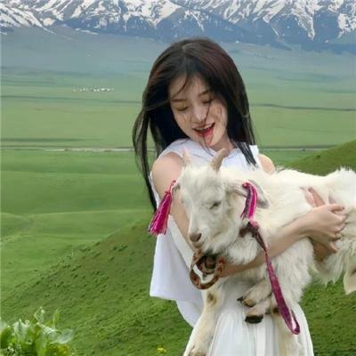 第十三个小时